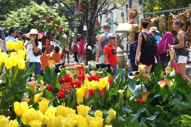 chợ hoa xuân Sài Gòn