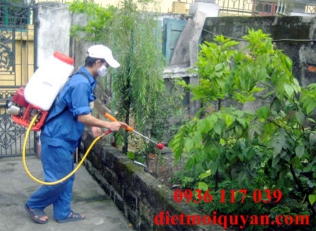 dịch vụ phun muỗi Sài Gòn
