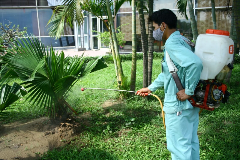 Dịch vụ diệt muỗi tại Sài Gòn