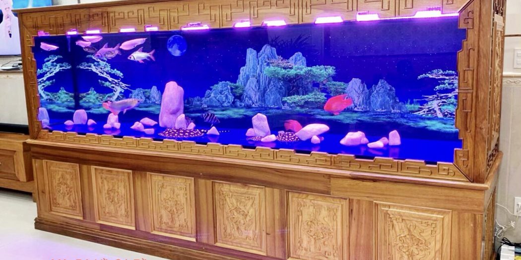 Hoàng Hải Aquarium