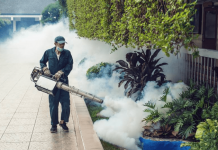 công ty diệt côn trùng Sài Gòn