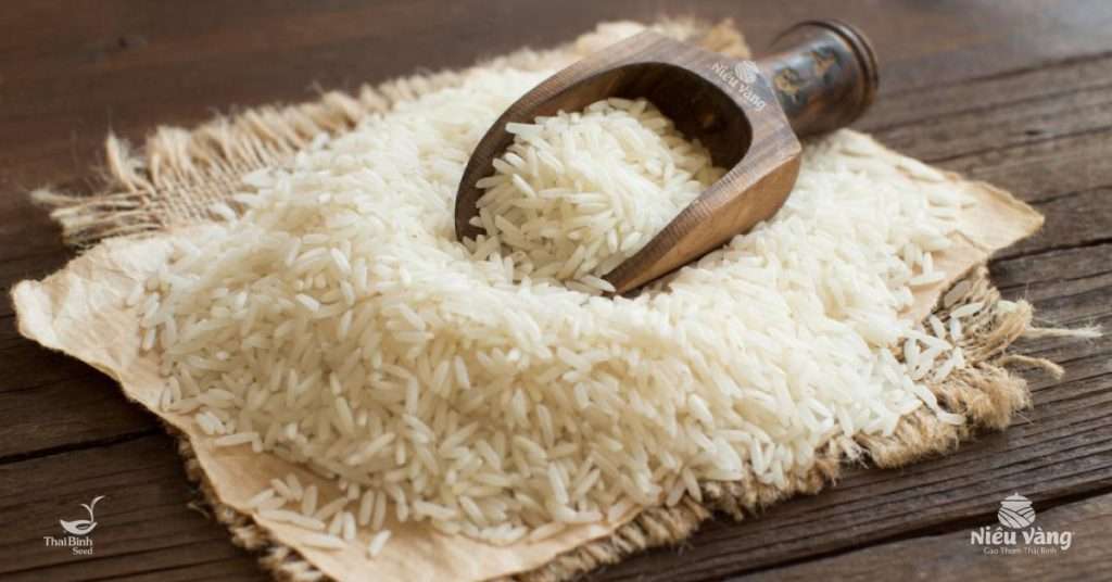 Gạo Kim Sáng 