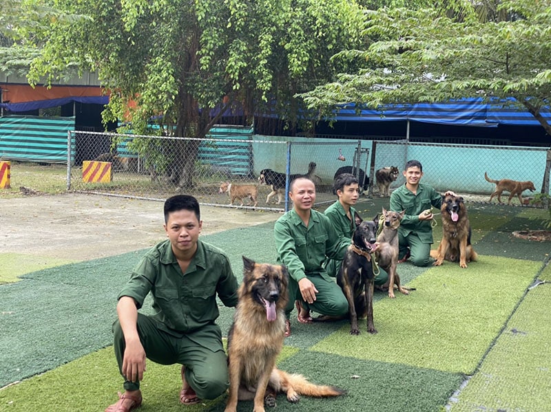 Trường huấn luyện chó Quân Cảnh