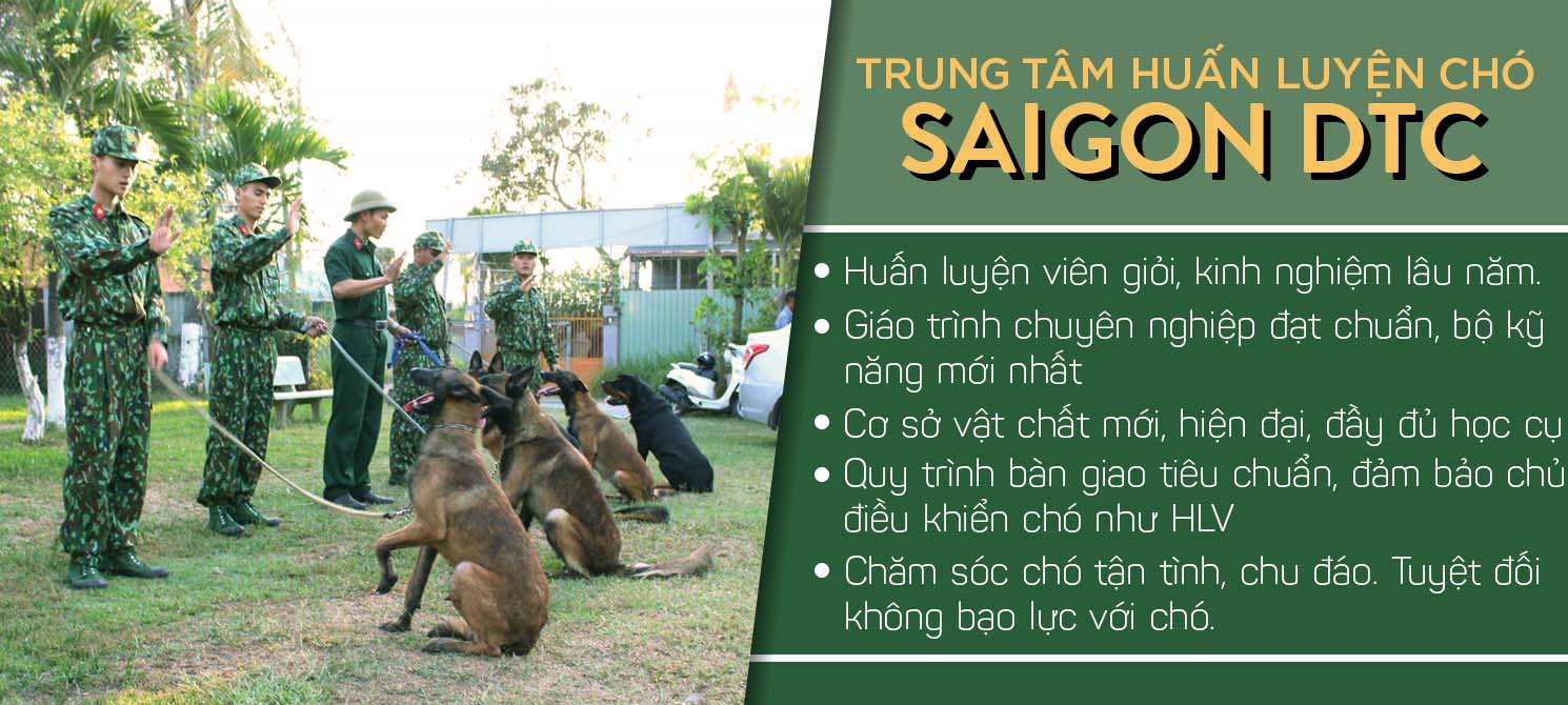 Sài Gòn DTC