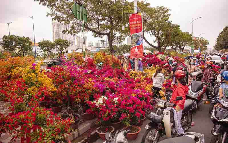 Bến Bình Đông – Chợ hoa đẹp rực rỡ ở Sài Gòn